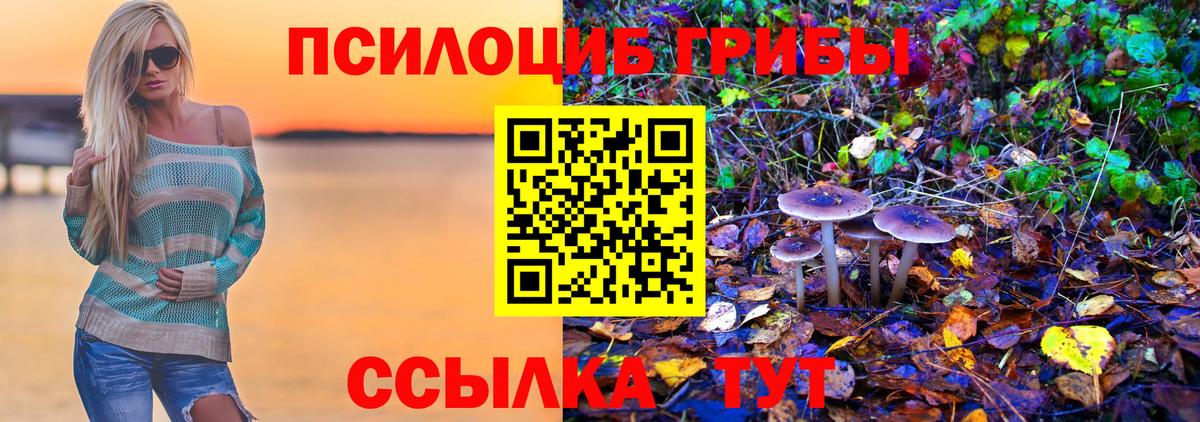 Галлюциногенные грибы GOLDEN TEACHER Томск