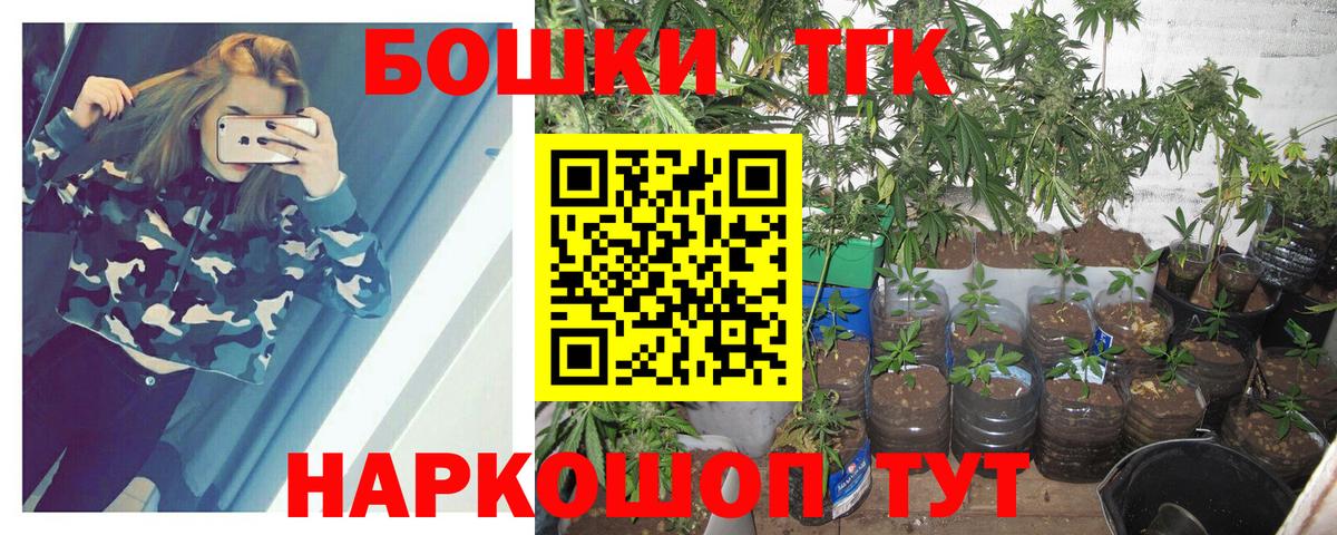 Марихуана сатива Томск